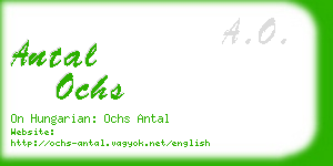 antal ochs business card